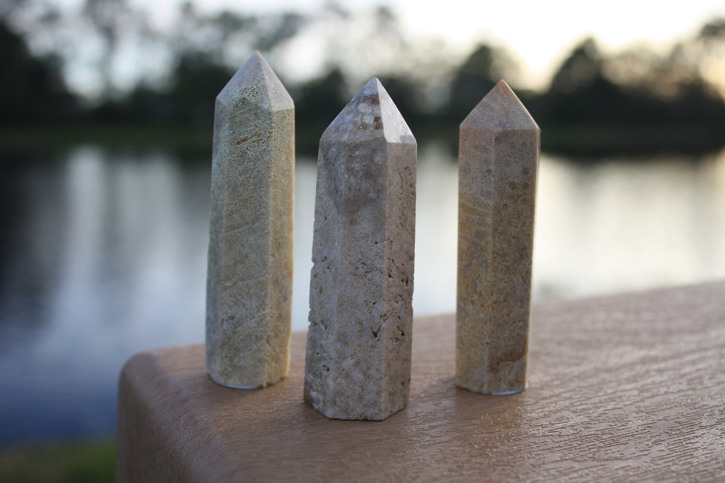 Fossilized Coral Towers