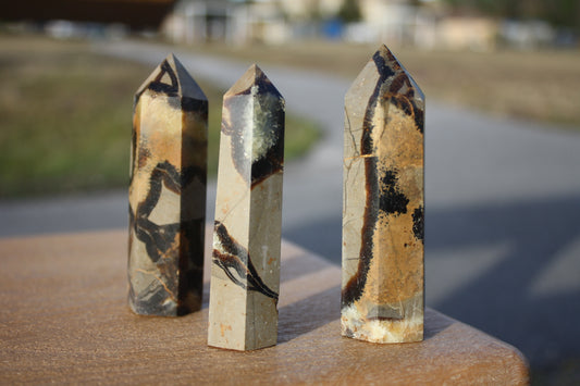 Septarian Towers