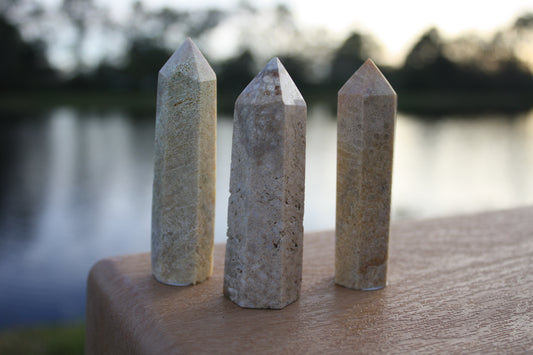 Fossilized Coral Towers